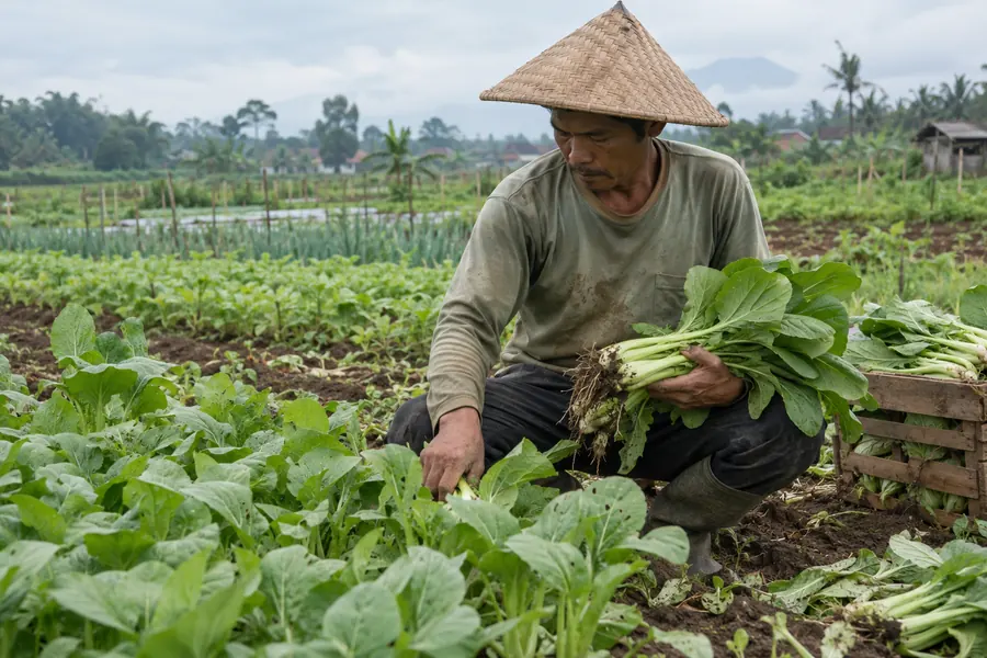 Agriculture